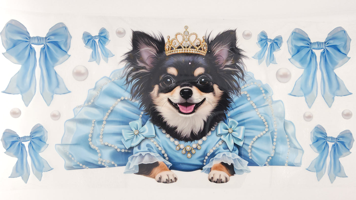 Chihuahua 02