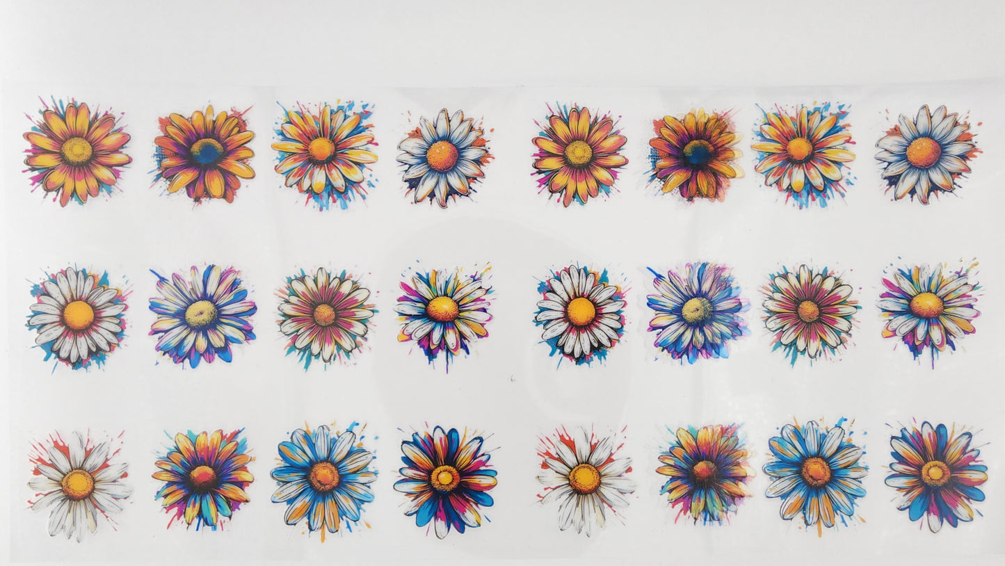 Daisy 02