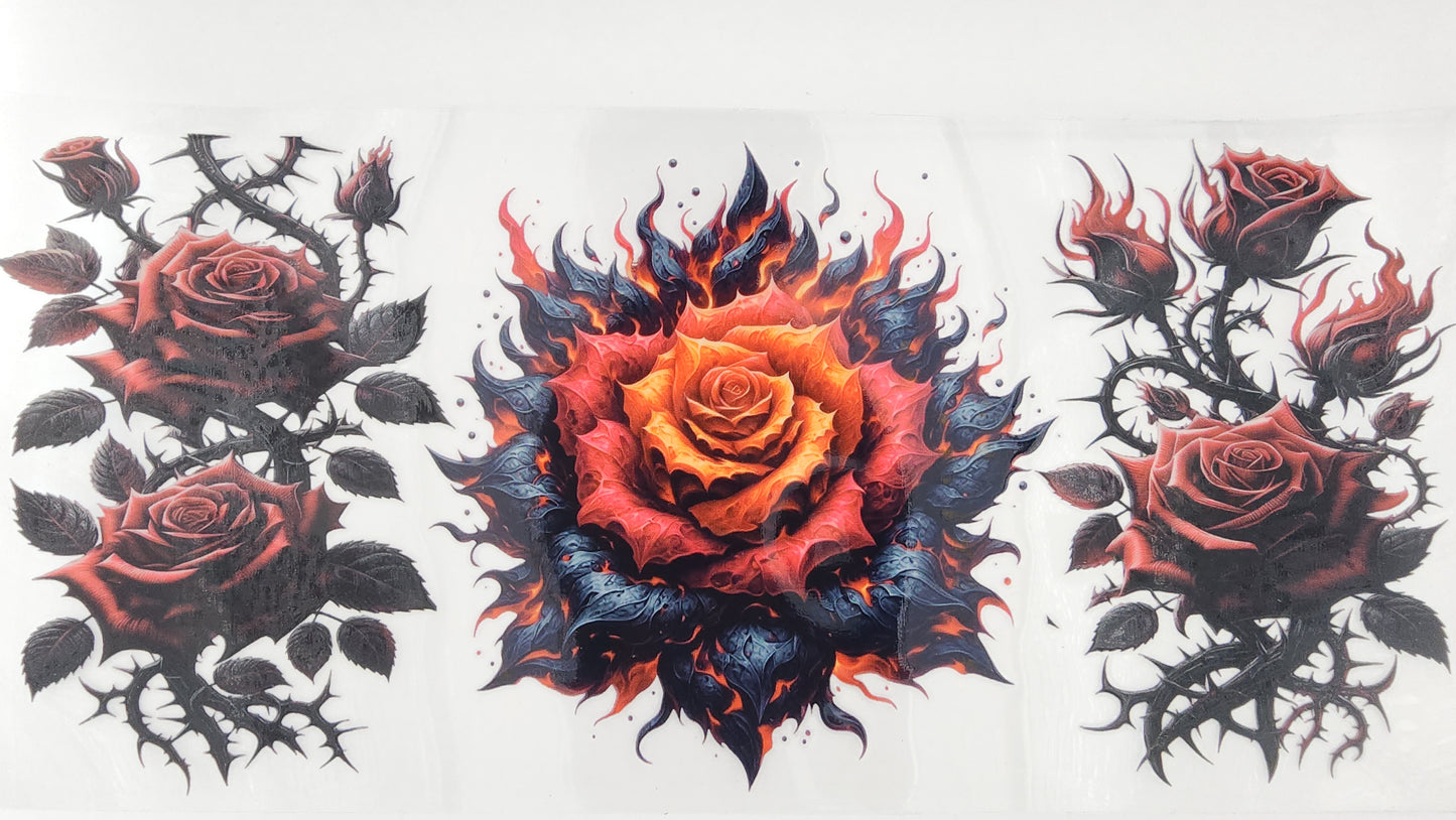 Roses 05