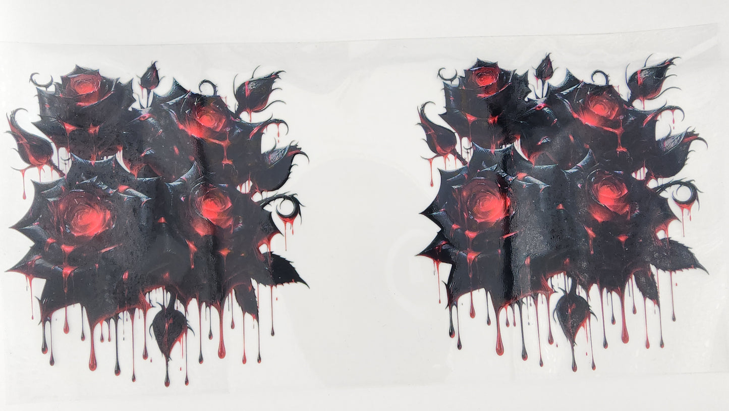 Roses 06