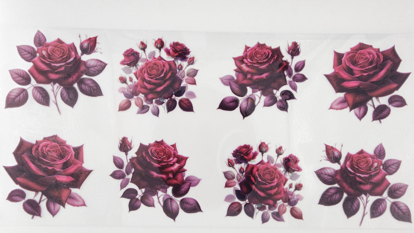Roses 08