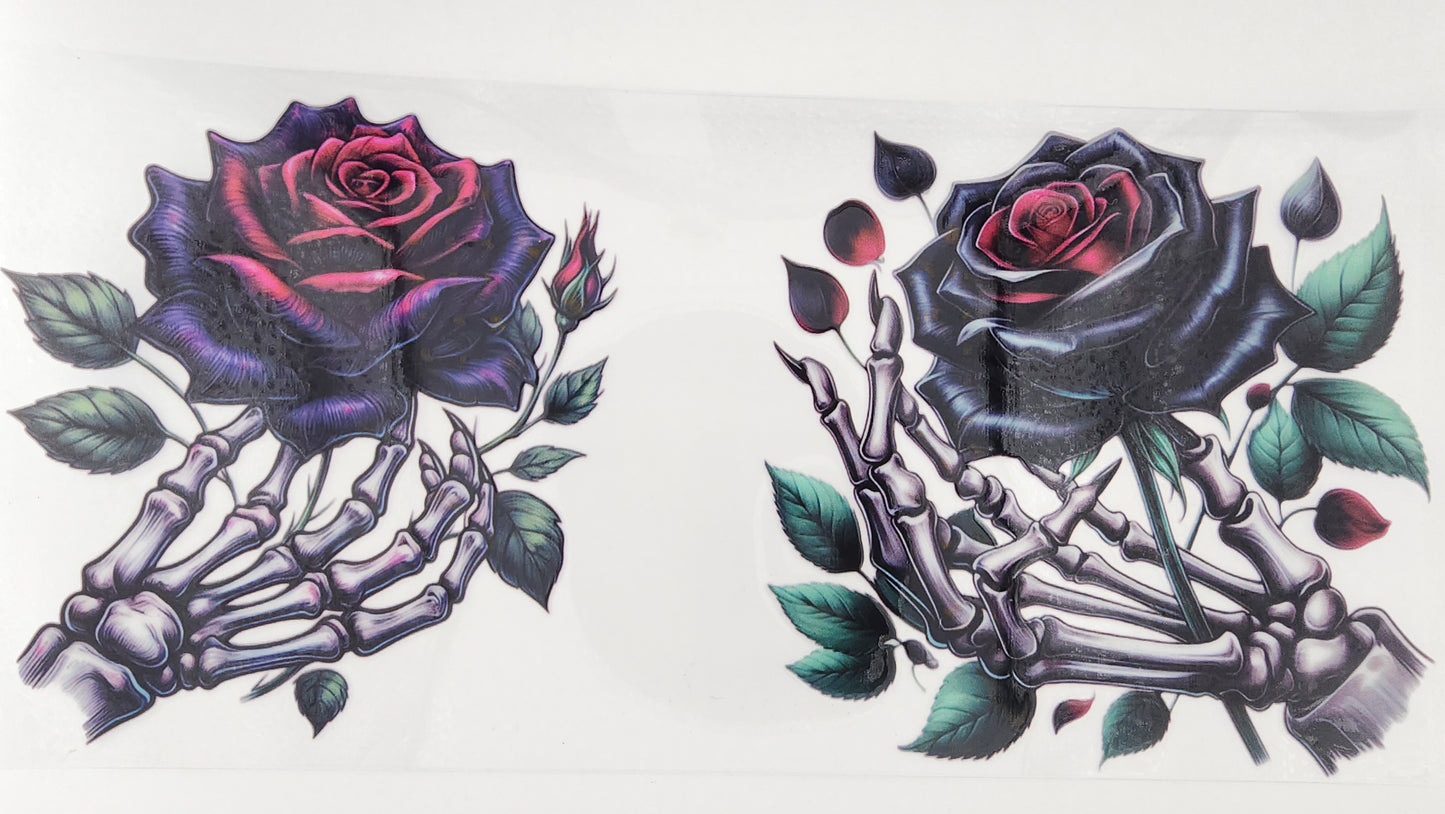 Roses 12