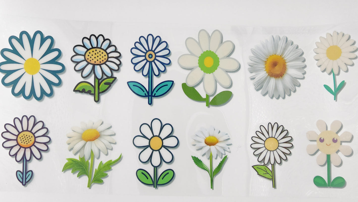 Daisy 05