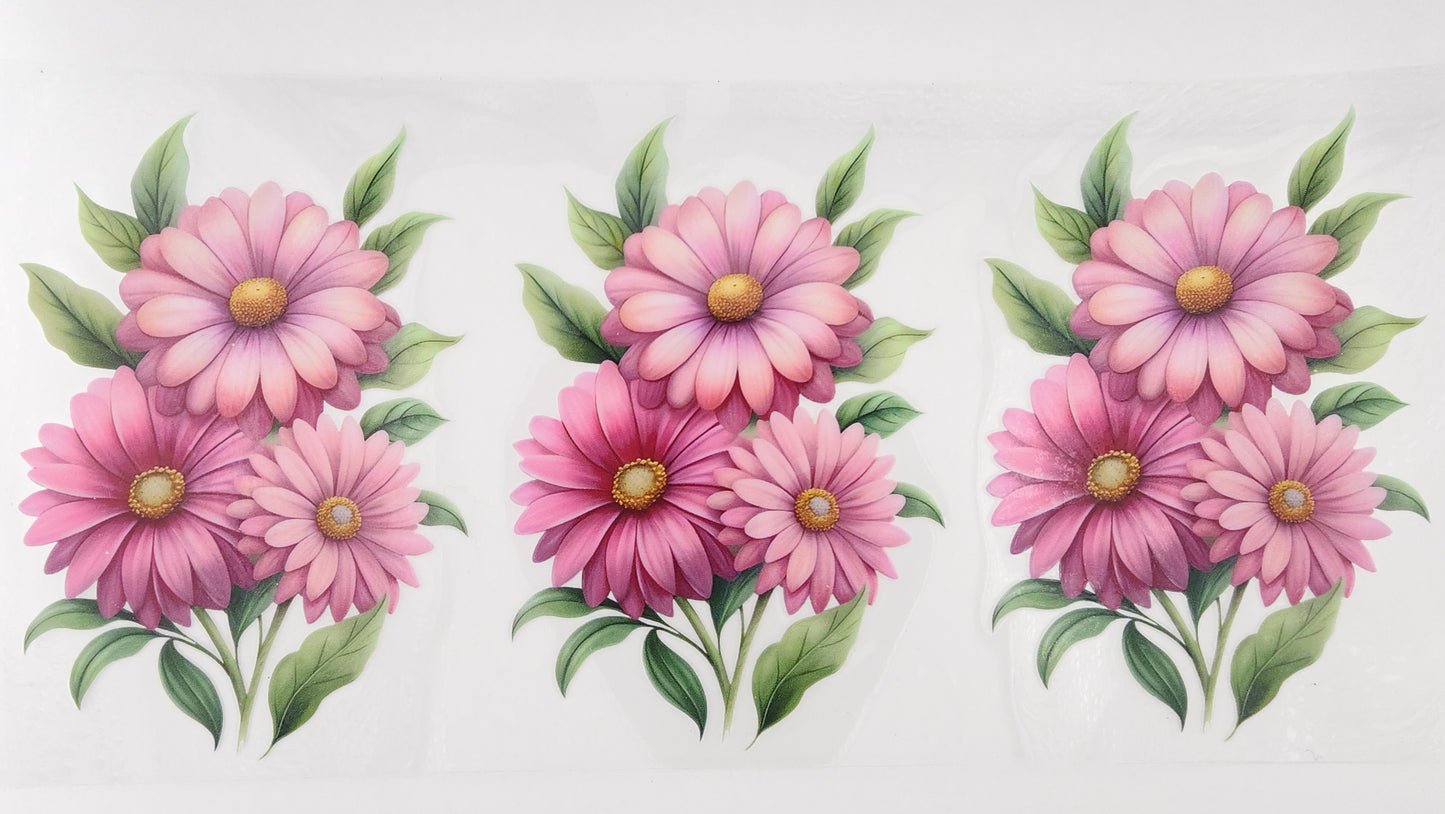 Daisy 06