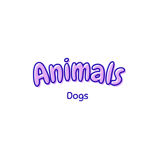 Animals - Dogs