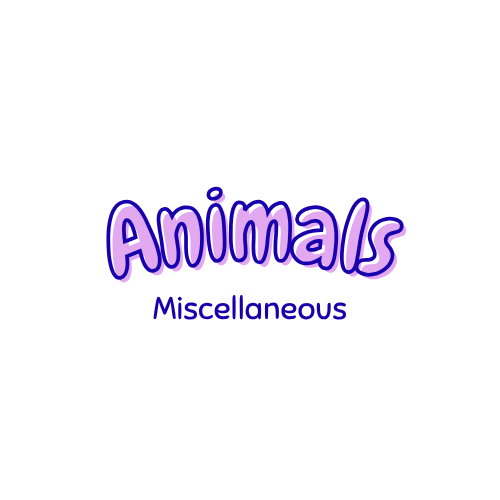 Animals - Miscellaneous