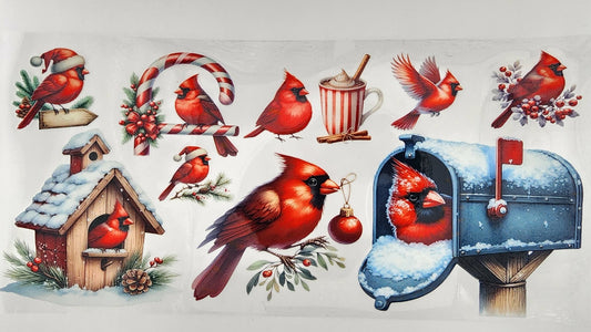 Cardinal 4