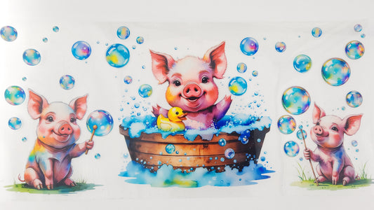 Pig 01