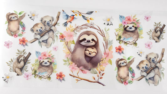 Sloth 11