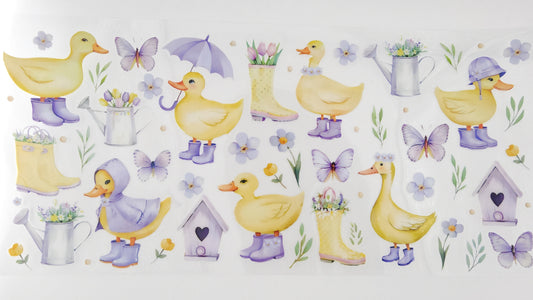 Duck 02