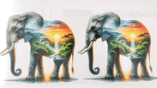 Elephant 14