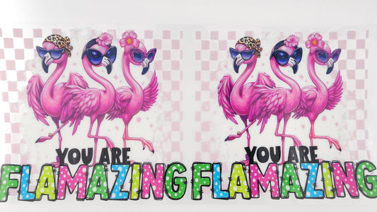 Flamingo 02