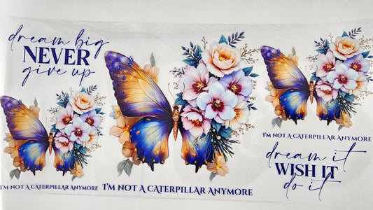 Butterflies 14
