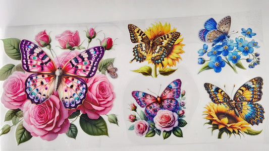Butterflies 17