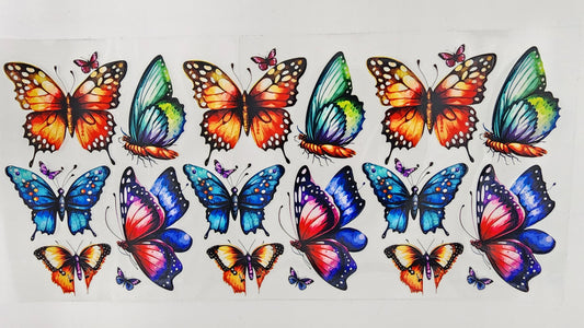 Butterflies 32