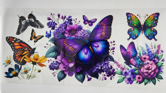 Butterflies 07