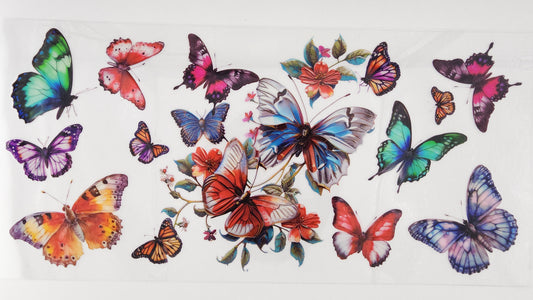 Butterflies 51