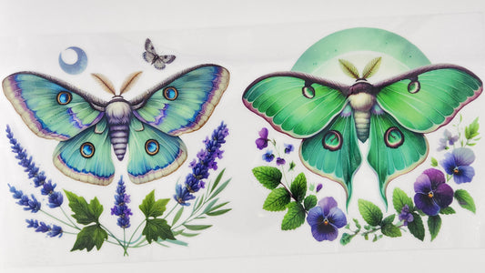 Butterflies 61