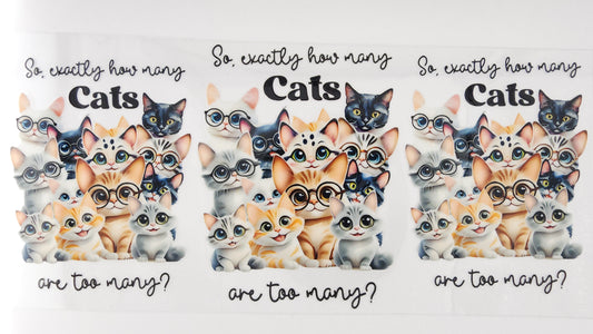 Cat 16