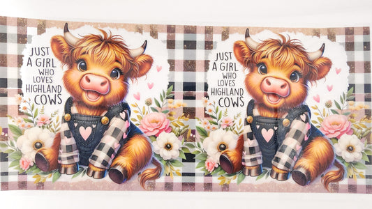 Cow 09