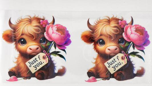 Cow 65
