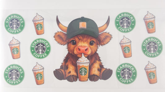 Coffee - St 18