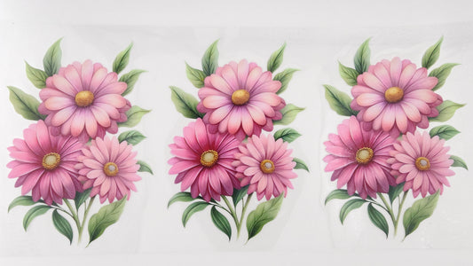 Daisy 06