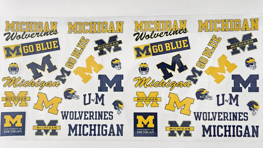 College - Michigan 12