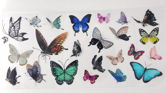 Butterflies 34