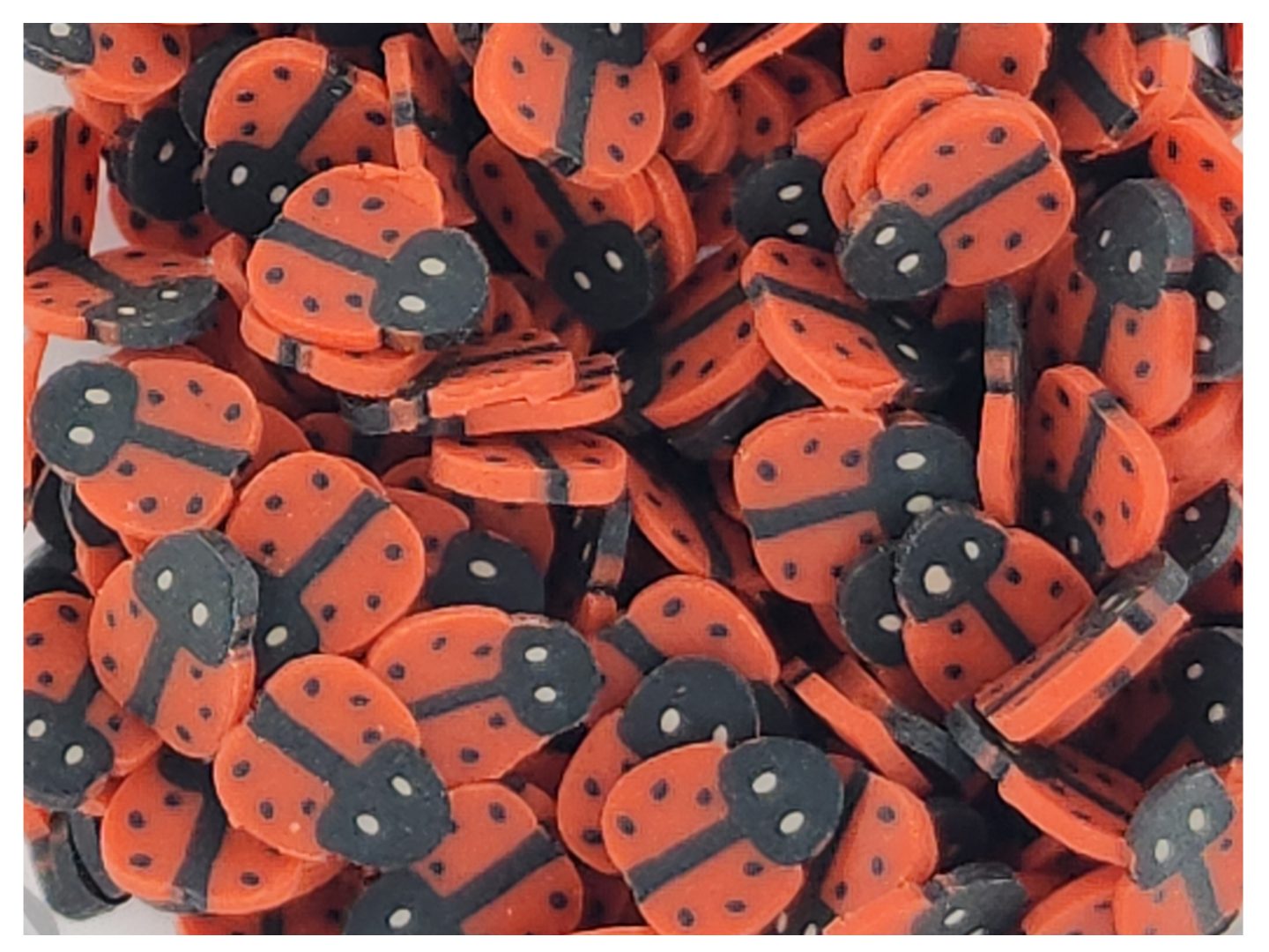 Ladybugs