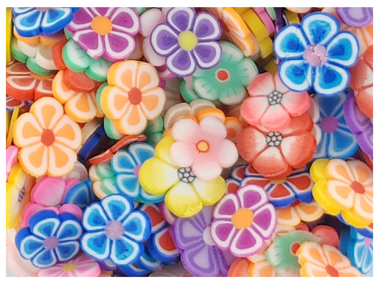 Flowers 1