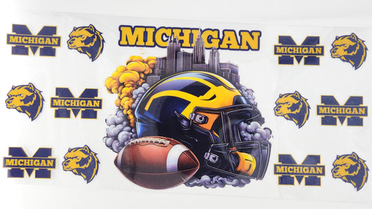 College - Michigan 13